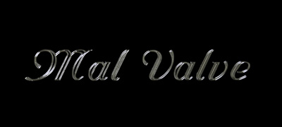 典立5-MalValve